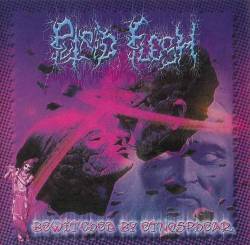 Putrid Flesh : Bewitched by Etnosphear